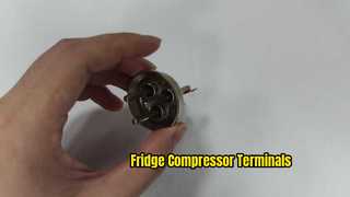 Terminais do compressor do refrigerador do Pin SUH446